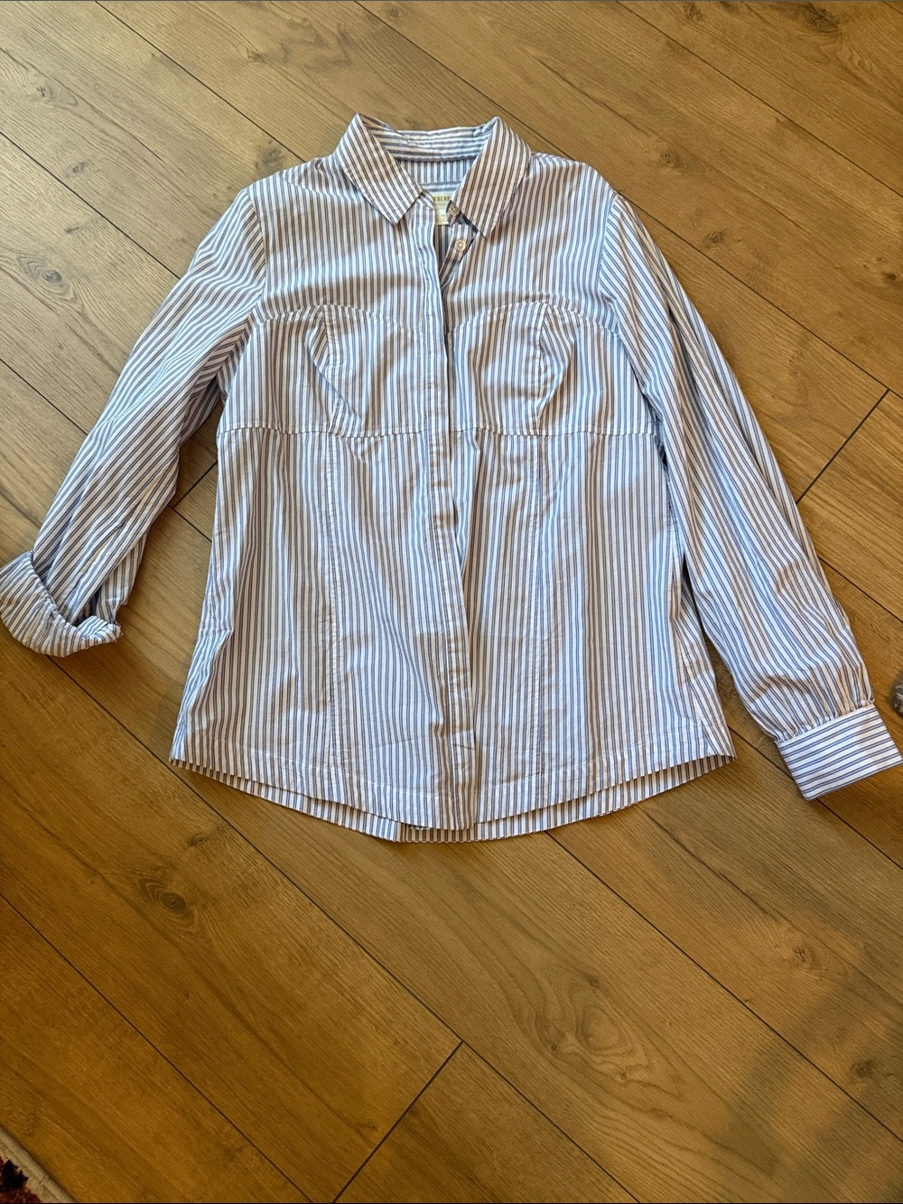 Anthropologie Blue and White Striped Button-Down Shirt